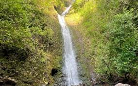 Hike - Dip in the Waterfall, Rainforest Trails (Pick up)