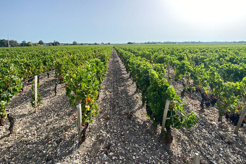 Tour de vino de un día completo en Saint Emilion y Margaux