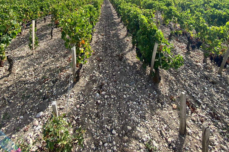 Tour de vino de un día completo en Saint Emilion y Margaux