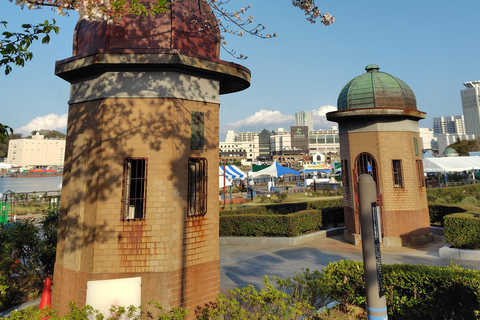 Yokosuka: Naval Port Cruise & Local Guided Tour