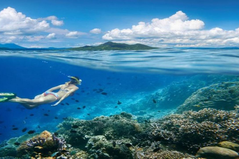 Lombok: Esnórquel privado en 4 puntos de las Gili con cámara GoPro