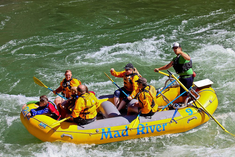 Jackson : excursion de 13 km en rafting en eaux vives à bord d'un petit bateauJackson: excursion de rafting en eau vive en petit bateau de 8 milles