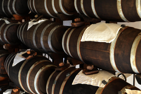 Modena: Balsamic Vinegar Tour and Tasting