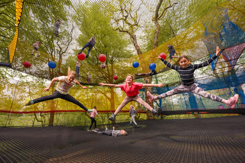 Windermere: Treetop bouncy nets (Treetop Nets)