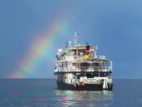 TADOUSSAC, balene e fiordi Cruise Morning o Twilight Tour - Housity