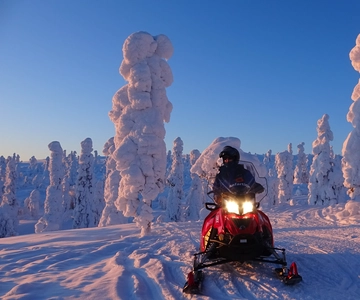Saariselkä: Passeio noturno de mota de neve com fogo e piquenique