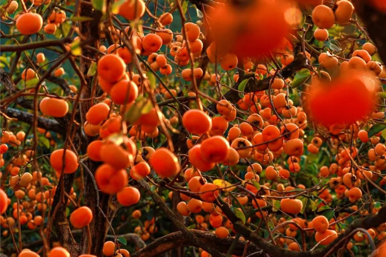 Guilin: Private Wen & Wu Temple Tour with Red Rock Village