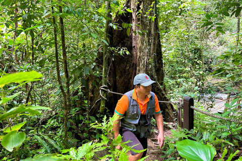Khao Lak: Drift the Bamboo River, Chong Fah Falls Escape