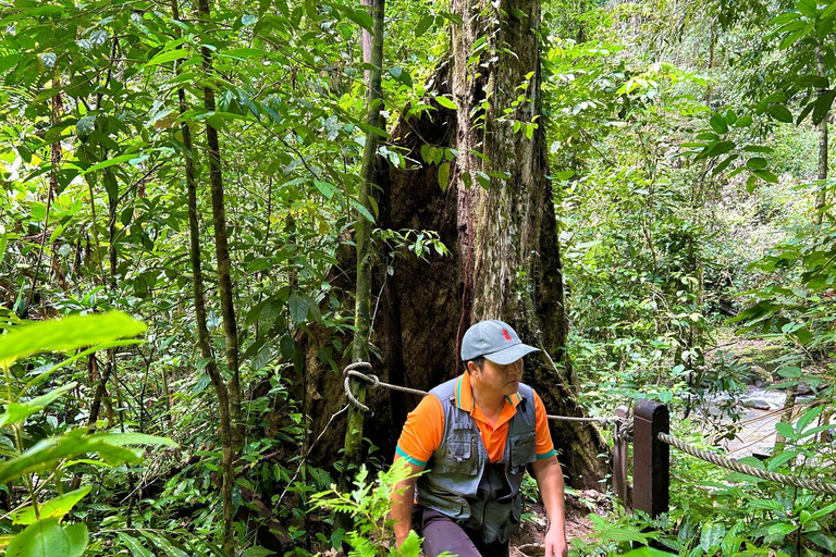 Khao Lak: Drift the Bamboo River, Chong Fah Falls Escape