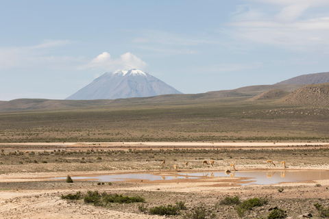 Von Chivay - Colca || Chivay - Puno Route ||