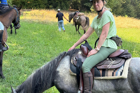 From Belgrade: 6-Day Šumadija Trail Horseback Riding Tour