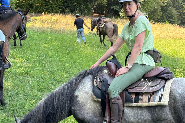 From Belgrade: 6-Day Šumadija Trail Horseback Riding Tour