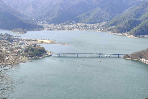 Private guided tour of Tokyo and surrounding area with English-speaking guide