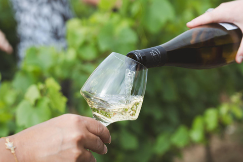 Nantes: Half-Day Wine Country Tour by Minibus Half-day tour