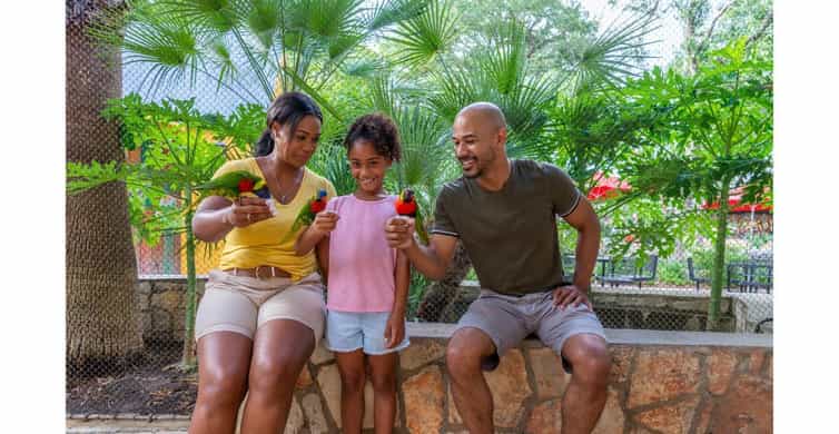 San Antonio Zoo Any Day Ticket photo 16