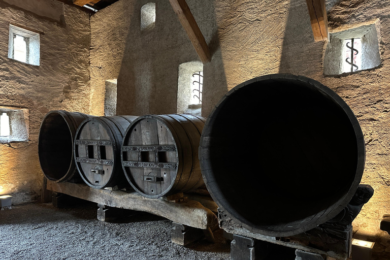 From Zurich: Private Tour to Rheinfalls and Stein am Rhein