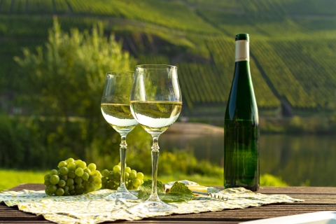 Private Wine Tasting Tour in Munich with a Wine Expert 3-hour: Wine Tour with Sightseeing, 5 Wines and Appetizers