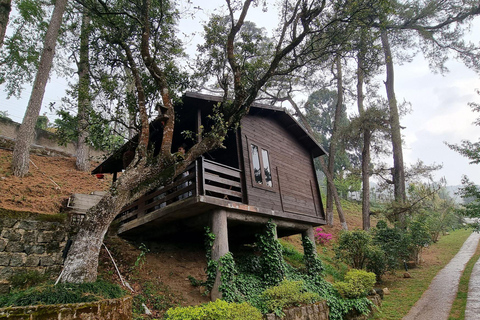 Trilhas Verdes de Shillong: Experiência de caminhada guiada com guia localTrilhas verdes de Shillong: experiência de trekking guiada com guia local