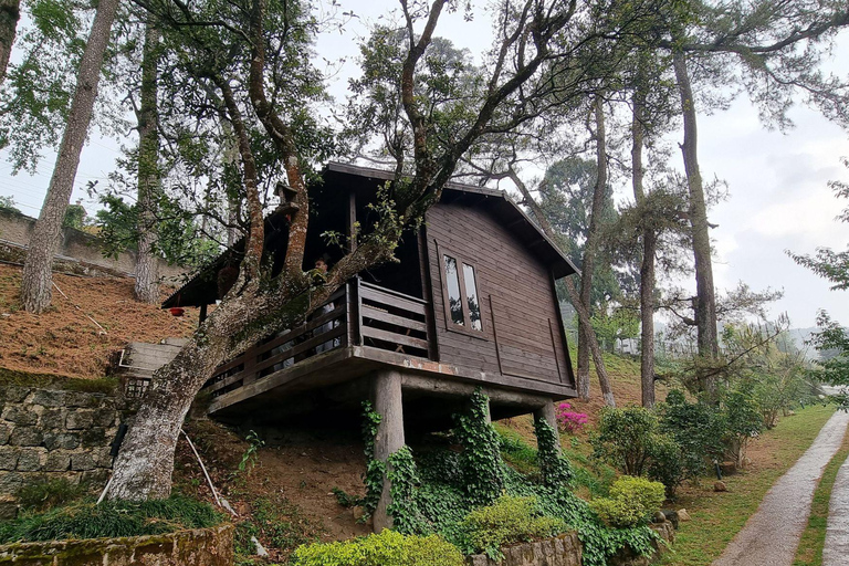 Trilhas Verdes de Shillong: Experiência de caminhada guiada com guia localTrilhas verdes de Shillong: experiência de trekking guiada com guia local