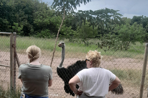 Shai Hills Resource Reserve+Volta Lake boottocht+lunch