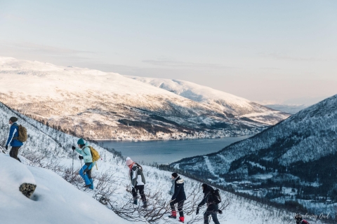 Desde Tromso: Tour de raquetas de nieve para grupos pequeños