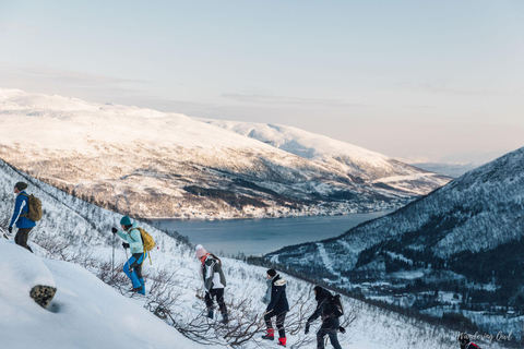 De Tromso: visite en petit groupe de la raquette