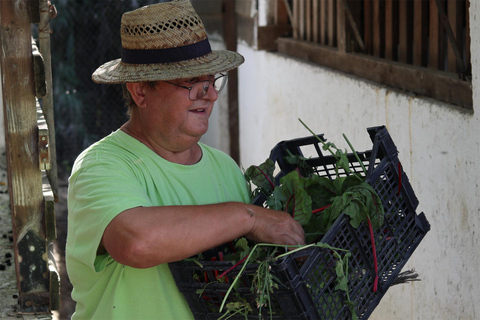 Corfu: Donkey Sanctuary and Farm Tour with Lunch Corfu: Donkey Sanctuary,Horse Riding,Farm Tour with Lunch