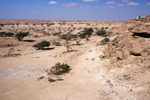 Città perduta (Escursione di un giorno intero a Rub Al Khali)