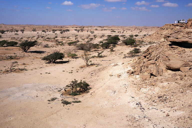 Cidade perdida (excursão de dia inteiro a Rub Al Khali)