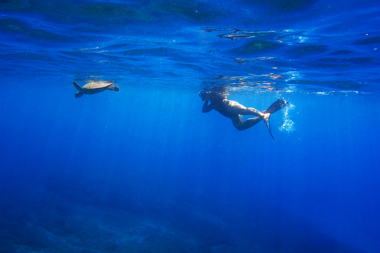 Puerto Rico: Snorkeling with Turtles Adventure