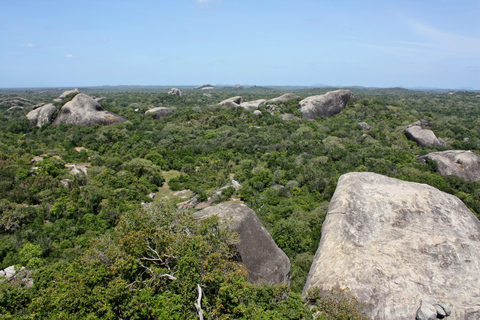 Von Ella aus: Ravana Falls / Diyaluma Falls / Yala National Park