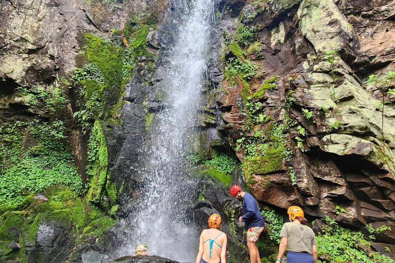 Foz do Iguaçu : randonnée aux chutes avec déjeuner et transfertFoz do Iguaçu : randonnée aux chutes d&#039;eau avec déjeuner et transfert