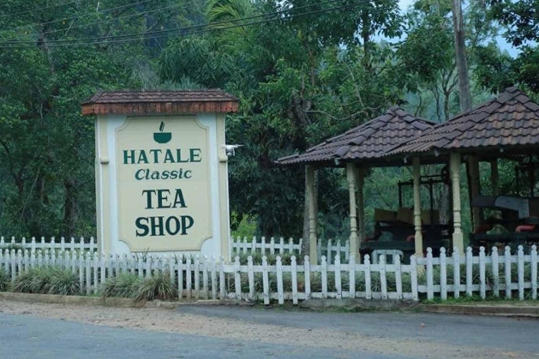 Von Colombo aus: Kandy, Pinnawala und Teefabrik Ganztagestour