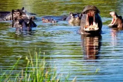 Savuti - Khwai - Moremi (Mobile Safari) 7 Days