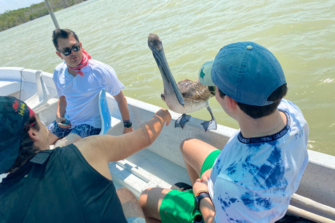 Rio Lagartos et Las Coloradas : EcoSafari Flamingo DeluxRio Lagartos et Las Coloradas : EcoSafari Flamingo Deluxe