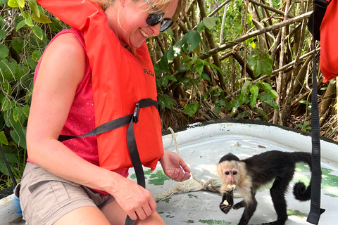 Panama-Stad: Oude Stad en Apeneilandoude stad en apeneiland