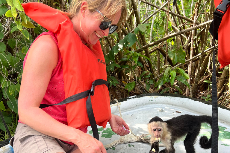 Panama-Stad: Oude Stad en Apeneilandoude stad en apeneiland