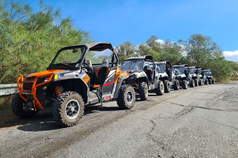 Etna 4x4-rondleiding met buggy