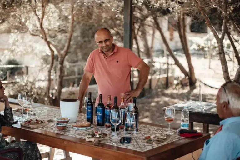 Gozo: Family Winery Estate Tour with Wine Tasting Gozo: Family Estate Tour with Wine Tasting