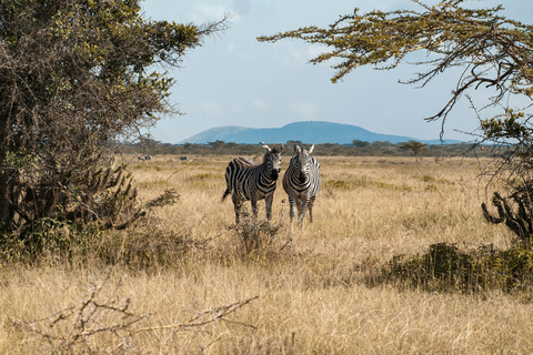 3 days mikumi and masai culture