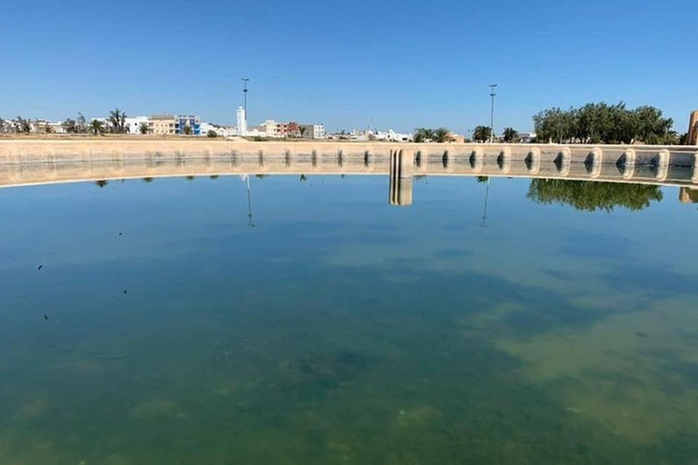 Excursion à Kairouan et El Jem depuis Tunis ou Sousse