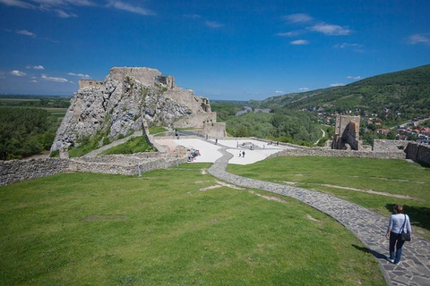 Bratislava: Devin Castle & Currant Wine Private Tour