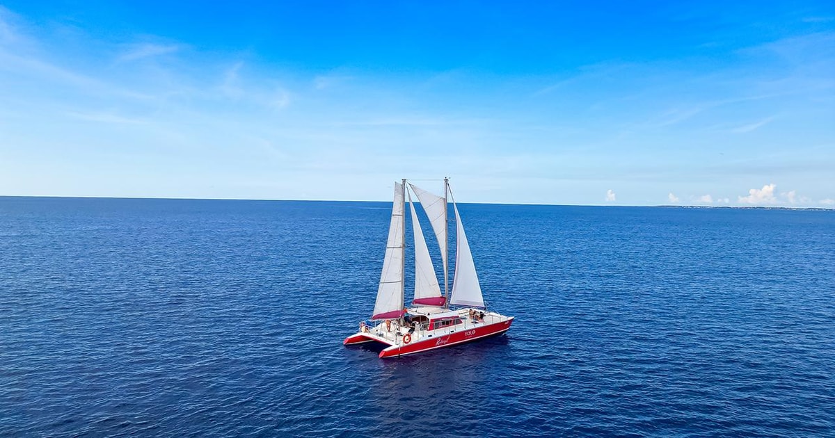 Morning Sail Cruise to Boca Catalina with BBQ Lunch GetYourGuide