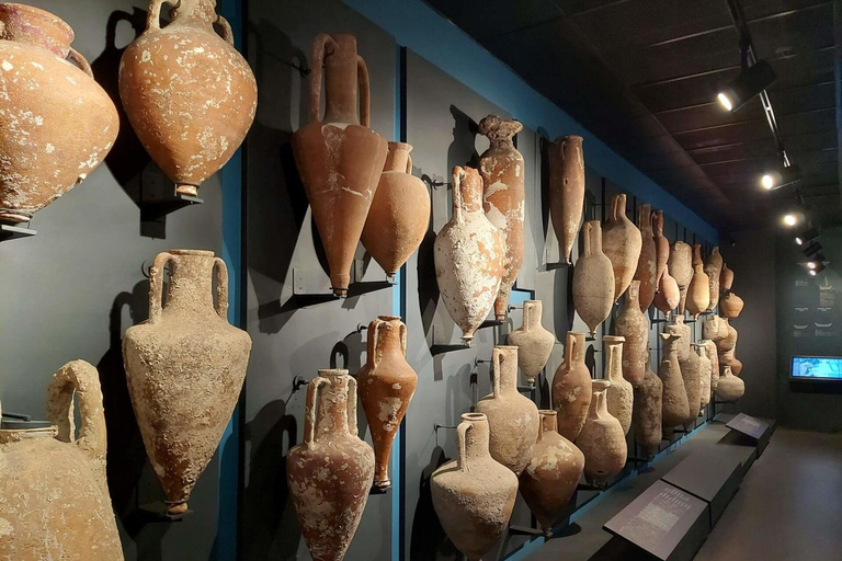 Bodrum port: Guided City Tour with Castle & Mausoleum Visit