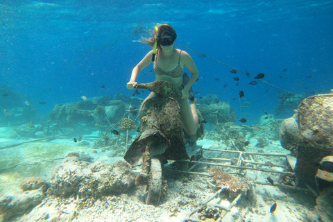 Gili Trawangan: Snorkeling privato (coralli, statue, tartarughe)