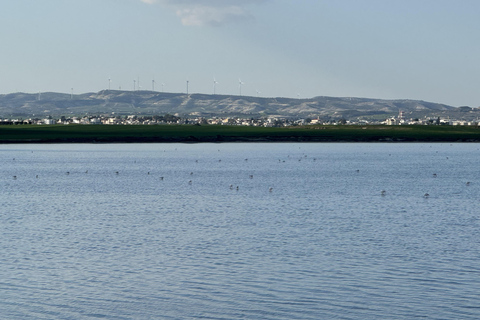 From Ayia Napa: Enchanted Lagoon Jeep Safari Shared Tour