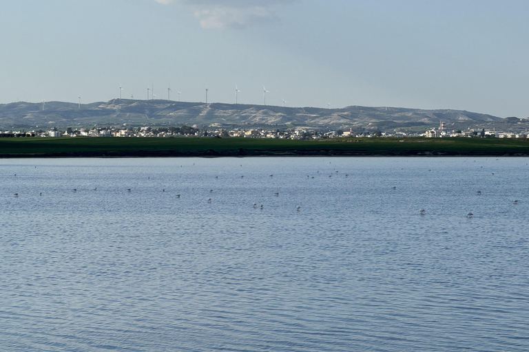 From Ayia Napa: Enchanted Lagoon Jeep Safari Shared Tour