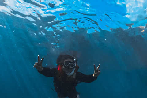 Cebú: Oslob Whaleshark Watching Canyoneering recogida privada