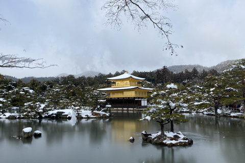 Private tour from Kobe port to Kyoto: All inclusive