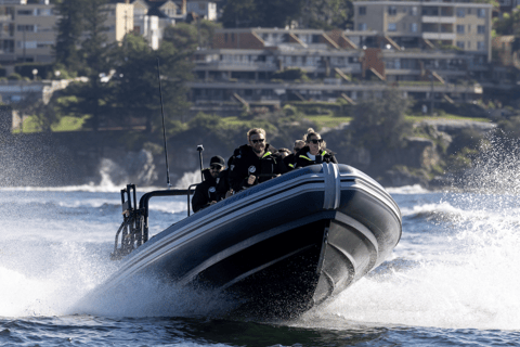 Sydney: High-Speed Whale Watching Tour Circular Quay Departure